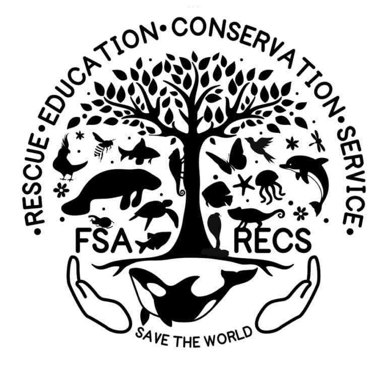 FSA RECS